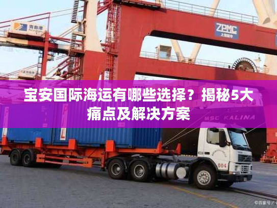 宝安国际海运有哪些选择？揭秘5大痛点及解决方案