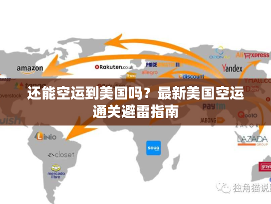 还能空运到美国吗？最新美国空运通关避雷指南