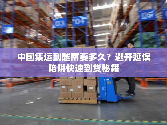 中国集运到越南要多久？避开延误陷阱快速到货秘籍