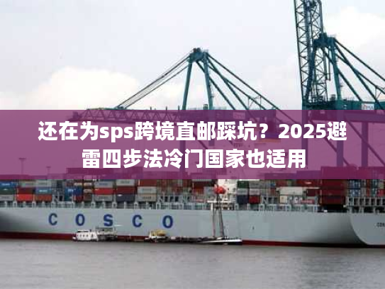 还在为sps跨境直邮踩坑？2025避雷四步法冷门国家也适用