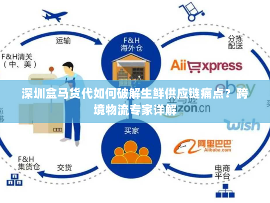 深圳盒马货代如何破解生鲜供应链痛点?跨境物流专家详解 深圳盒马货代如何破解生鲜供应链痛点?跨境物流专家详解