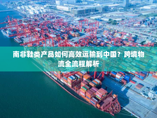 南非鞋类产品如何高效运输到中国？跨境物流全流程解析