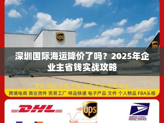 深圳国际海运降价了吗？2025年企业主省钱实战攻略
