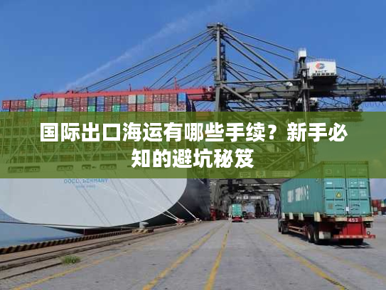 国际出口海运有哪些手续？新手必知的避坑秘笈