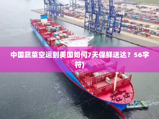中国蔬菜空运到美国如何7天保鲜送达？56字符)