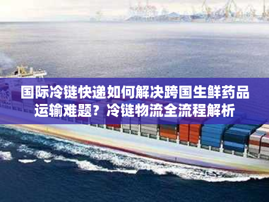 国际冷链快递如何解决跨国生鲜药品运输难题？冷链物流全流程解析