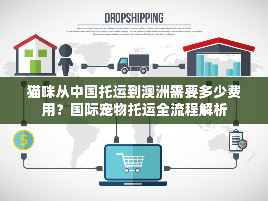 猫咪从中国托运到澳洲需要多少费用？国际宠物托运全流程解析