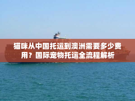 猫咪从中国托运到澳洲需要多少费用？国际宠物托运全流程解析