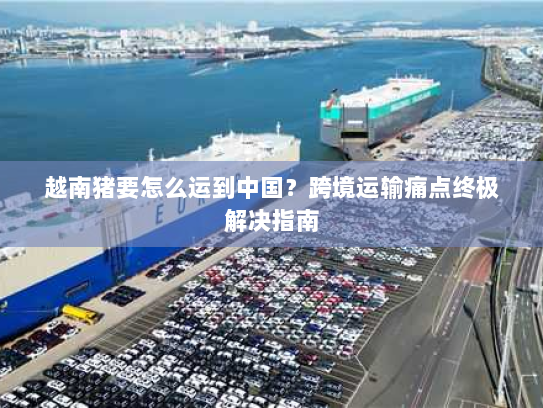 越南猪要怎么运到中国?跨境运输痛点终极解决指南 越南猪要怎么运到中国?跨境运输痛点终极解决指南