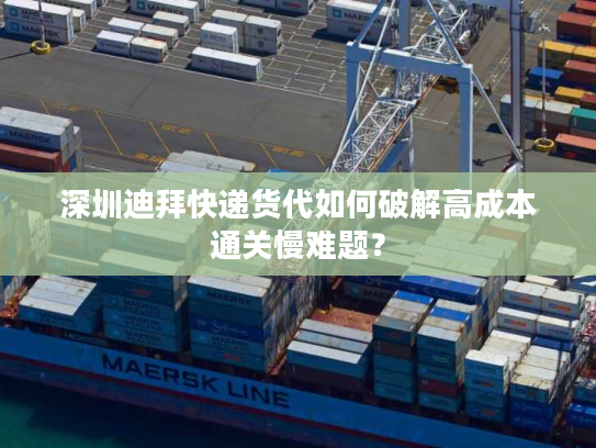 深圳迪拜快递货代如何破解高成本通关慢难题？