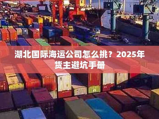 湖北国际海运公司怎么挑？2025年货主避坑手册