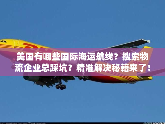 美国有哪些国际海运航线？搜索物流企业总踩坑？精准解决秘籍来了！