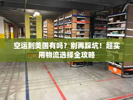 空运到美国有吗？别再踩坑！超实用物流选择全攻略