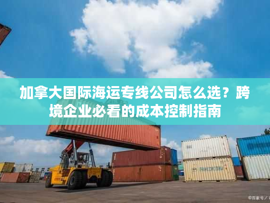 加拿大国际海运专线公司怎么选？跨境企业必看的成本控制指南