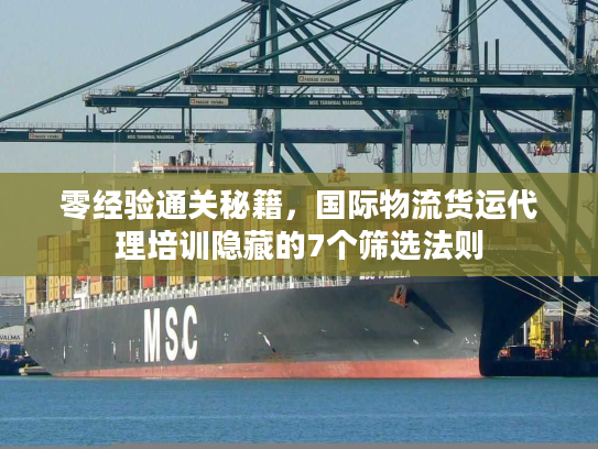 零经验通关秘籍，国际物流货运代理培训隐藏的7个筛选法则