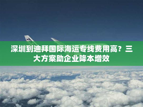 深圳到迪拜国际海运专线费用高？三大方案助企业降本增效
