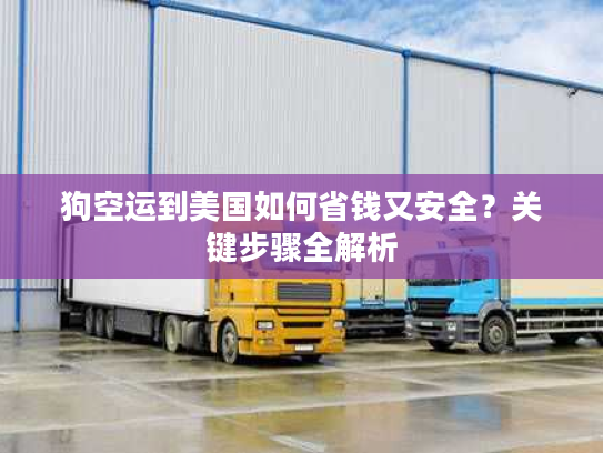 狗空运到美国如何省钱又安全？关键步骤全解析