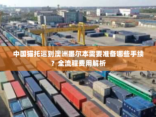 中国猫托运到澳洲墨尔本需要准备哪些手续?全流程费用解析 中国猫托运到澳洲墨尔本需要准备哪些手续?全流程费用解析