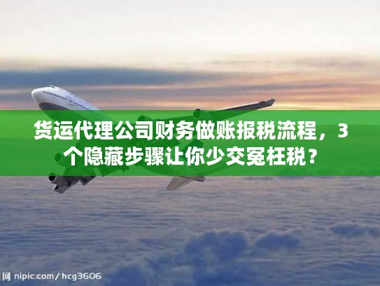 货运代理公司财务做账报税流程，3个隐藏步骤让你少交冤枉税？