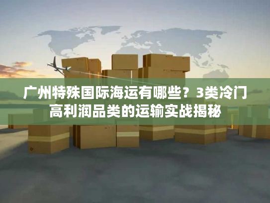 广州特殊国际海运有哪些？3类冷门高利润品类的运输实战揭秘