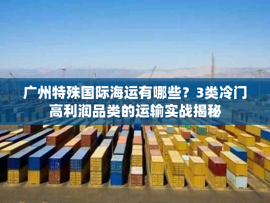 广州特殊国际海运有哪些？3类冷门高利润品类的运输实战揭秘