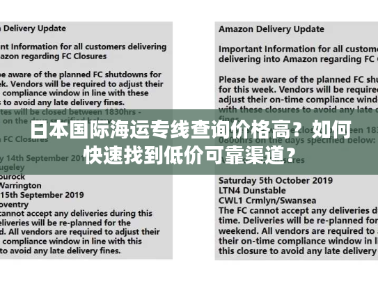 日本国际海运专线查询价格高？如何快速找到低价可靠渠道？