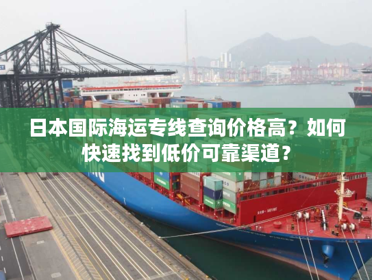 日本国际海运专线查询价格高？如何快速找到低价可靠渠道？