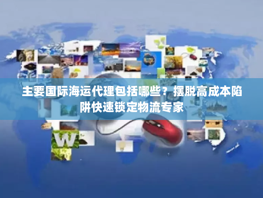 主要国际海运代理包括哪些？摆脱高成本陷阱快速锁定物流专家