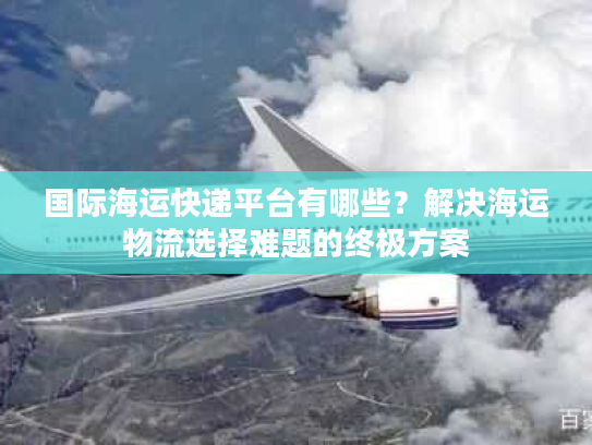 国际海运快递平台有哪些？解决海运物流选择难题的终极方案