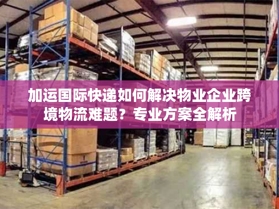 加运国际快递如何解决物业企业跨境物流难题？专业方案全解析