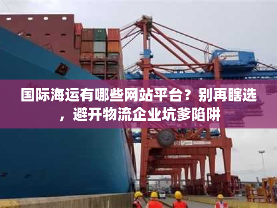 国际海运有哪些网站平台？别再瞎选，避开物流企业坑爹陷阱