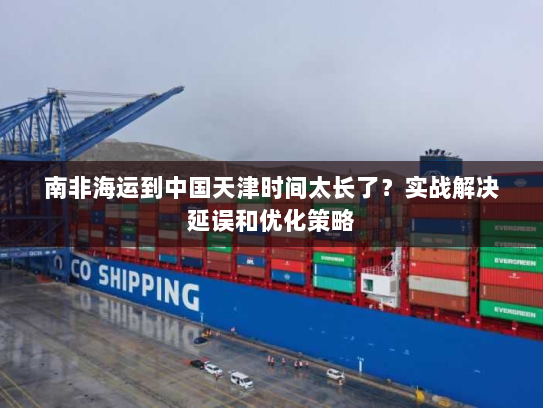 南非海运到中国天津时间太长了？实战解决延误和优化策略