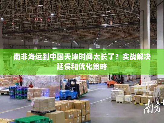南非海运到中国天津时间太长了？实战解决延误和优化策略