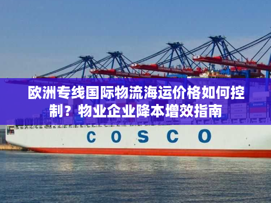 欧洲专线国际物流海运价格如何控制?物业企业降本增效指南 欧洲专线国际物流海运价格如何控制?物业企业降本增效指南