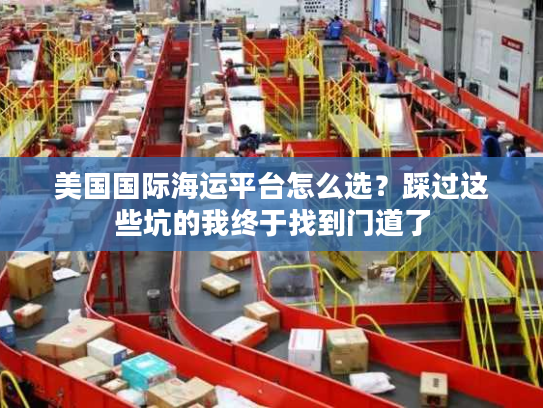 美国国际海运平台怎么选?踩过这些坑的我终于找到门道了 美国国际海运平台怎么选?踩过这些坑的我终于找到门道了