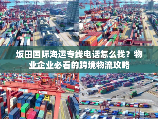 坂田国际海运专线电话怎么找？物业企业必看的跨境物流攻略