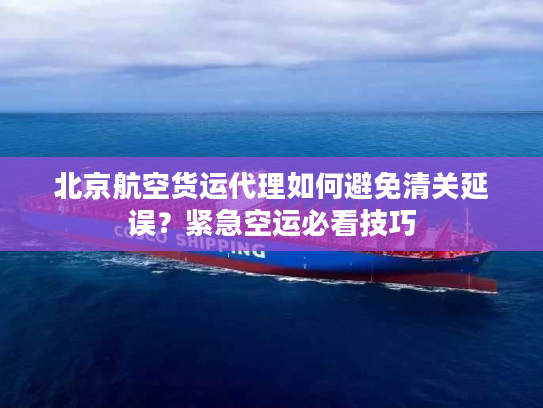 北京航空货运代理如何避免清关延误?紧急空运必看技巧 北京航空货运代理如何避免清关延误?紧急空运必看技巧