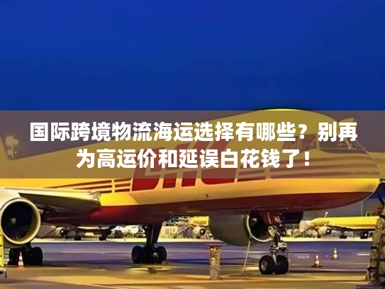 国际跨境物流海运选择有哪些？别再为高运价和延误白花钱了！