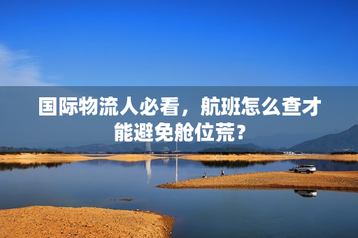 国际物流人必看，航班怎么查才能避免舱位荒？