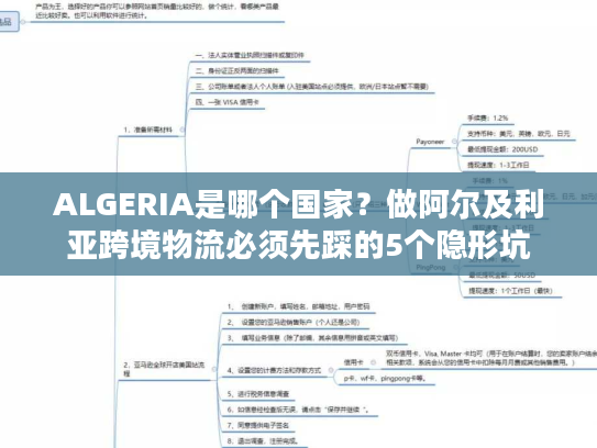 ALGERIA是哪个国家？做阿尔及利亚跨境物流必须先踩的5个隐形坑
