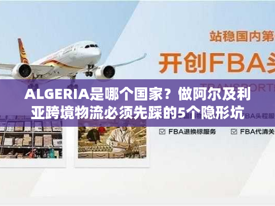 ALGERIA是哪个国家？做阿尔及利亚跨境物流必须先踩的5个隐形坑