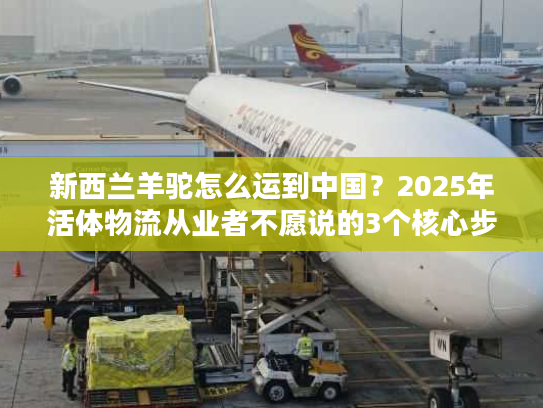 新西兰羊驼怎么运到中国？2025年活体物流从业者不愿说的3个核心步骤