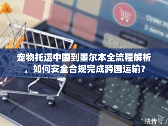 宠物托运中国到墨尔本全流程解析，如何安全合规完成跨国运输？
