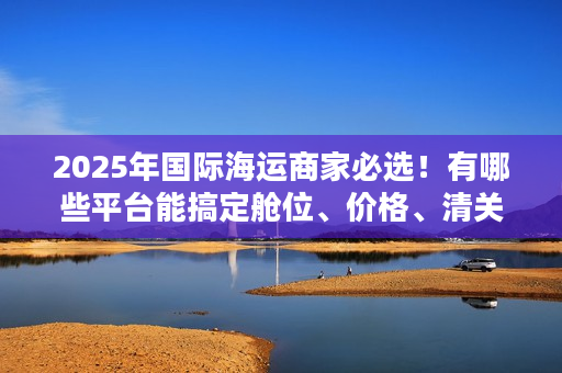 2025年国际海运商家必选！有哪些平台能搞定舱位、价格、清关三大难题？