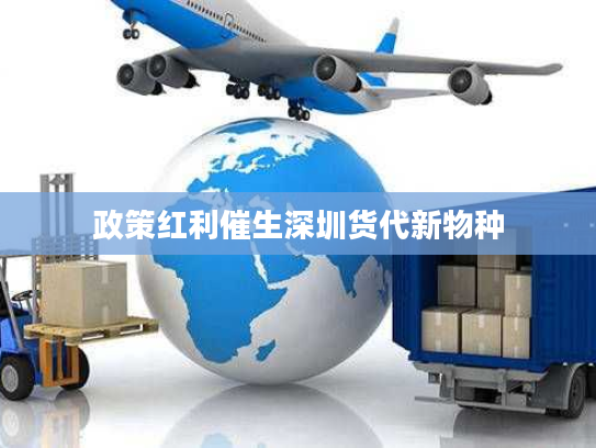 政策红利催生深圳货代新物种