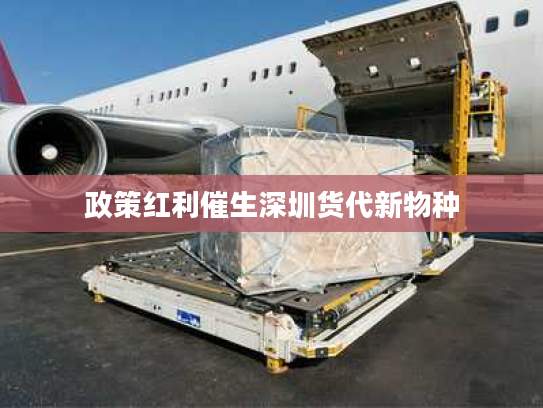 政策红利催生深圳货代新物种