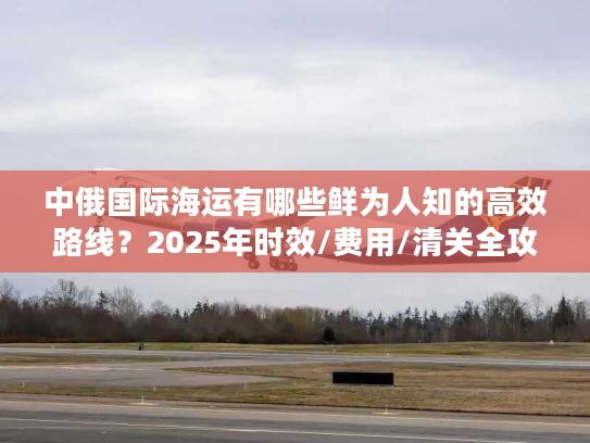 中俄国际海运有哪些鲜为人知的高效路线？2025年时效/费用/清关全攻略！
