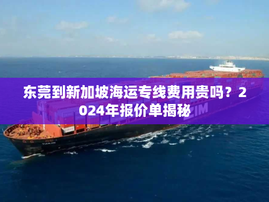 东莞到新加坡海运专线费用贵吗?2024年报价单揭秘 东莞到新加坡海运专线费用贵吗?2024年报价单揭秘