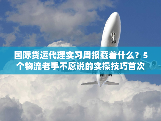 国际货运代理实习周报藏着什么？5个物流老手不愿说的实操技巧首次公开！