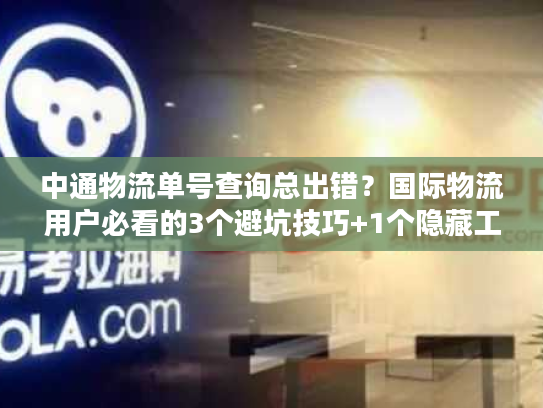 中通物流单号查询总出错？国际物流用户必看的3个避坑技巧+1个隐藏工具
